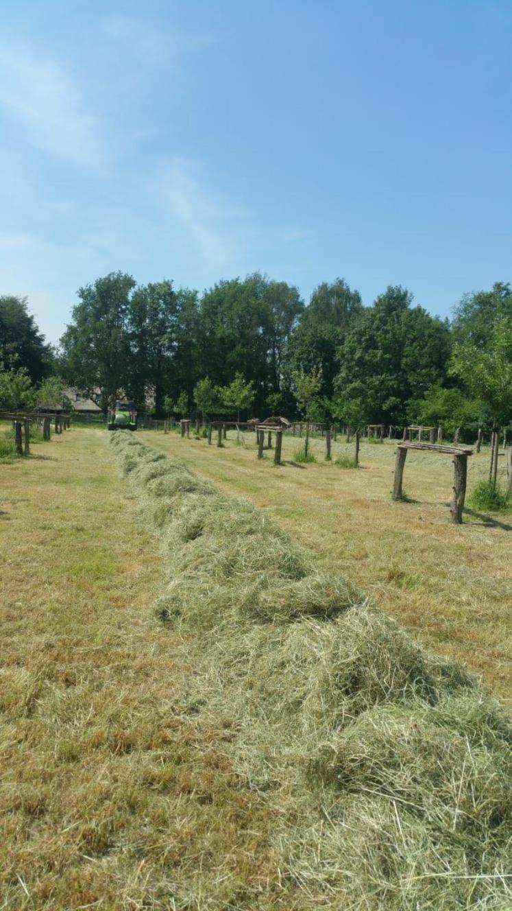 Bed and Breakfast Landgoed Groot Boerle Wijhe Exterior foto